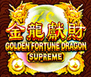 Golden Fortune Dragon Supreme